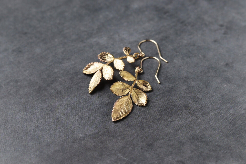 ノイバラ ピアス/イヤリング