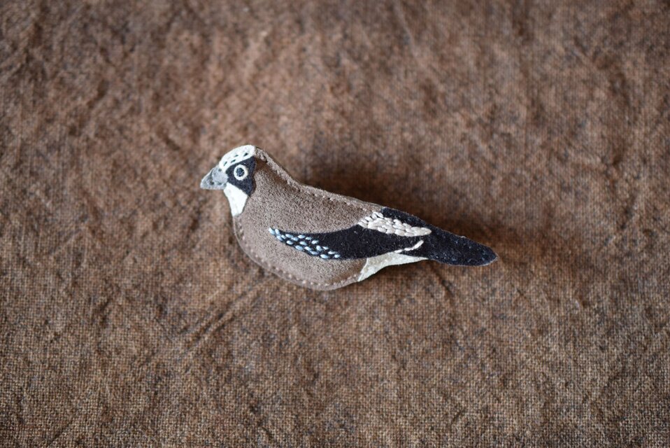 革ブローチ　カケス