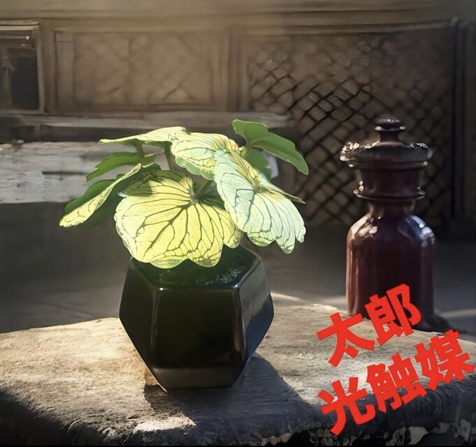 光触媒　人工観葉植物　ウォールグリーン　フェイクグリーン　モンステラ