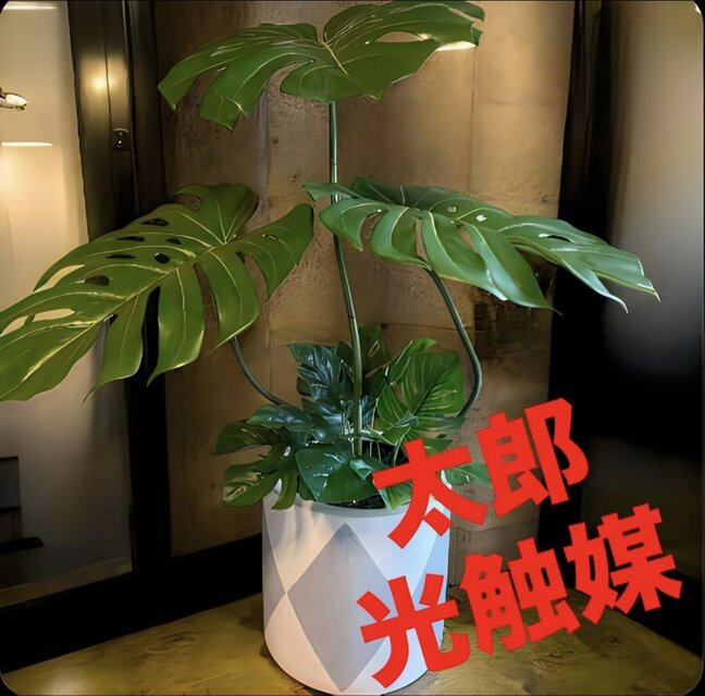光触媒 人工観葉植物 ウォールグリーン フェイクグリーン バリ風特大