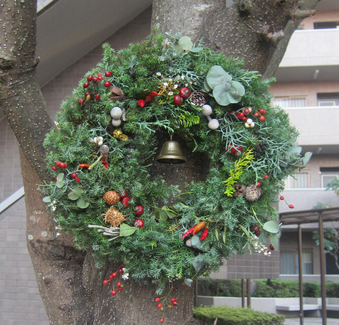 1点物33ｃｍクリスマスリース　針葉樹　森の奥から木の実いっぱい　フレッシュ　　多数類ユーカリ