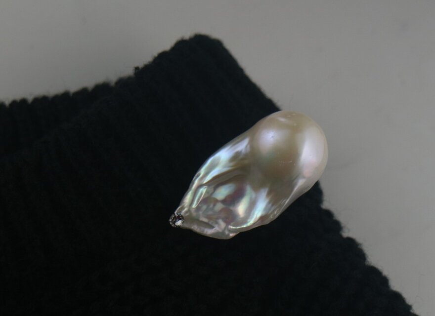 　金魚バロック【ヒレ真珠】