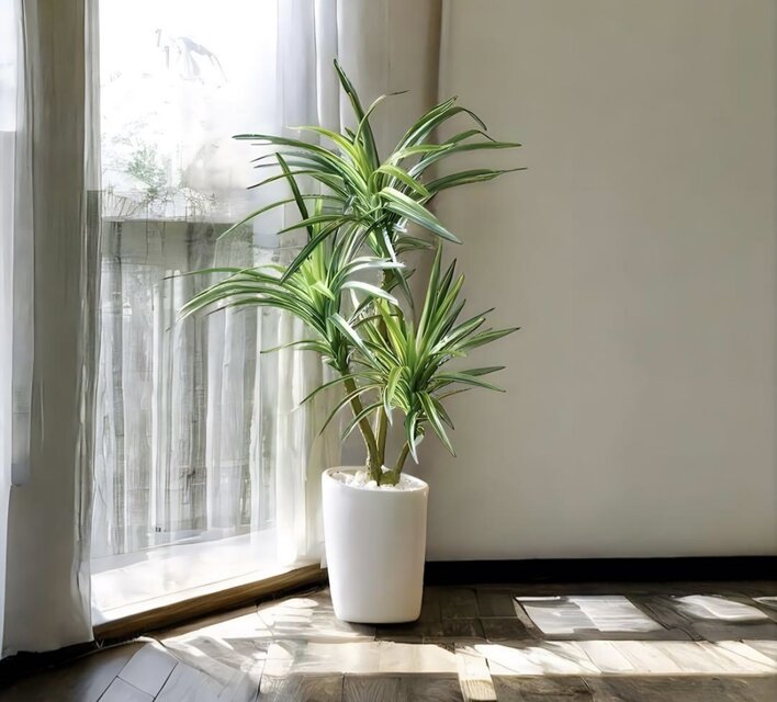 光触媒 人工観葉植物 ウォールグリーン フェイクグリーン ロングユッカ