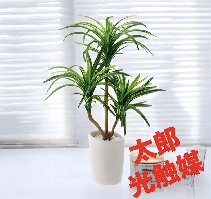 光触媒　人工観葉植物　ウォールグリーン　フェイクグリーン　ユッカ1.6 光触媒 人工観葉植物 ウォールグリーン フェイクグリーン ロングユッカ