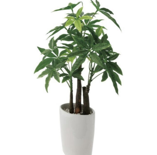 光触媒 人工観葉植物 ウォールグリーン フェイクグリーン パキラ中
