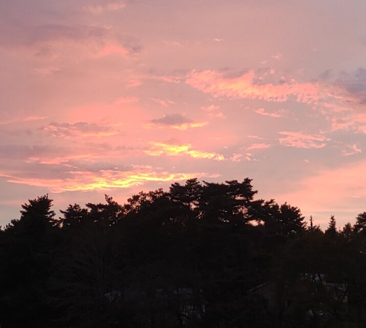 ane様ご注文ページ