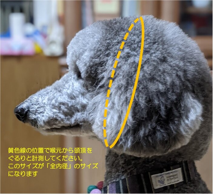 パラコード ハーフチョークチェーンタイプ 大型犬用（首回り40cm、頭