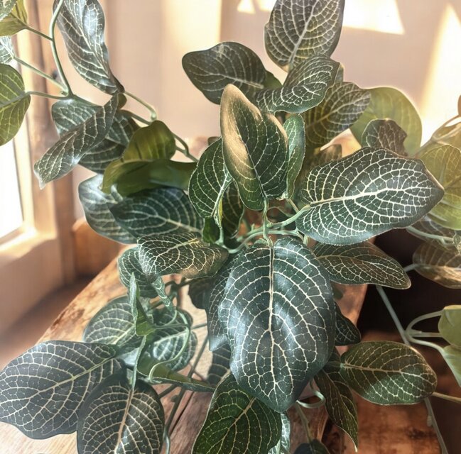 光触媒　人工観葉植物　ウォールグリーン　フェイクグリーン　pシーグレープトラカン 光触媒 人工観葉植物 ウォールグリーン フェイクグリーン 吊り下げ