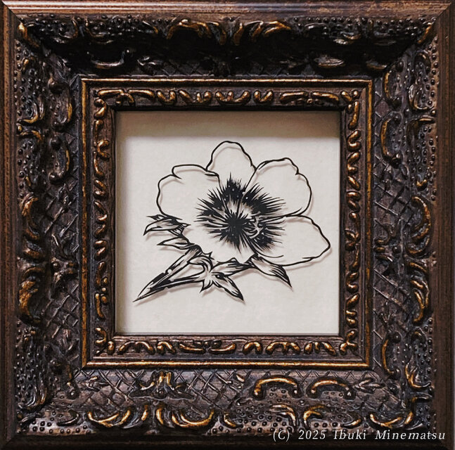 ハサミ切り絵原画 ポーチュラカ 【額装済】