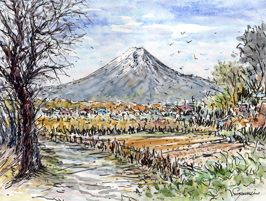 水彩画原画　忍野からの富士山　＃702