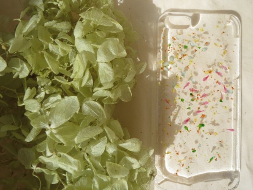 iPhone5 5s【リアルフラワー】カラフルブーケ