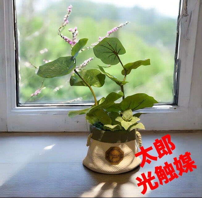 光触媒　人工観葉植物　ウォールグリーン　フェイクグリーン　シーグレープとミント