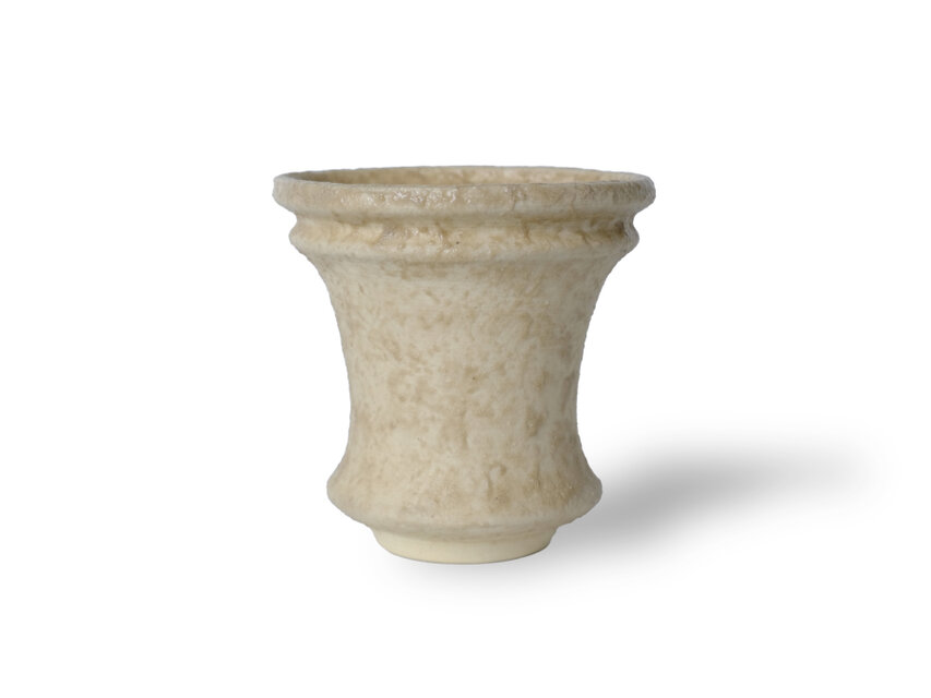 パルバコステリッチオ / M / 現代色（鉢・プランター）