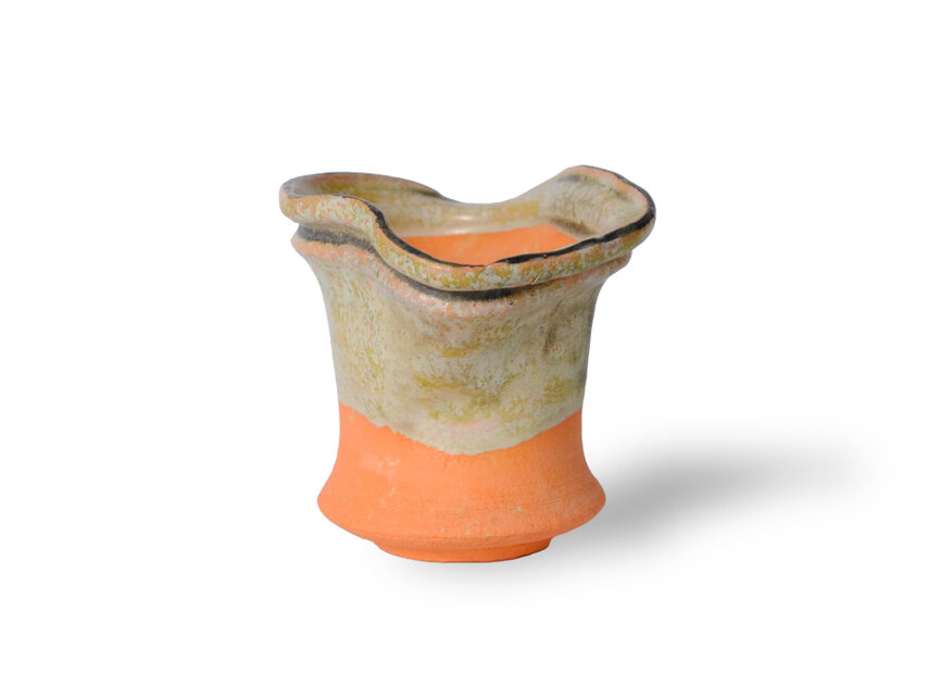 パルバコステリッチオ / M / 現代色（鉢・プランター）