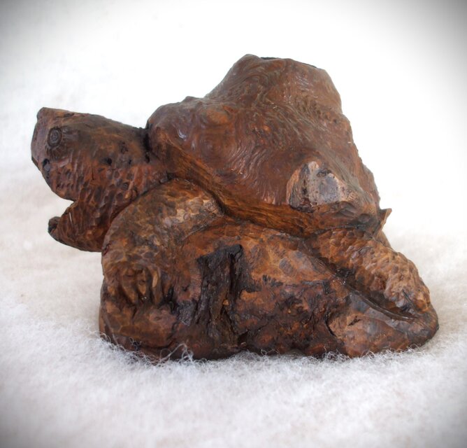 ♪ワニガメの赤ちゃん♪木彫り♪