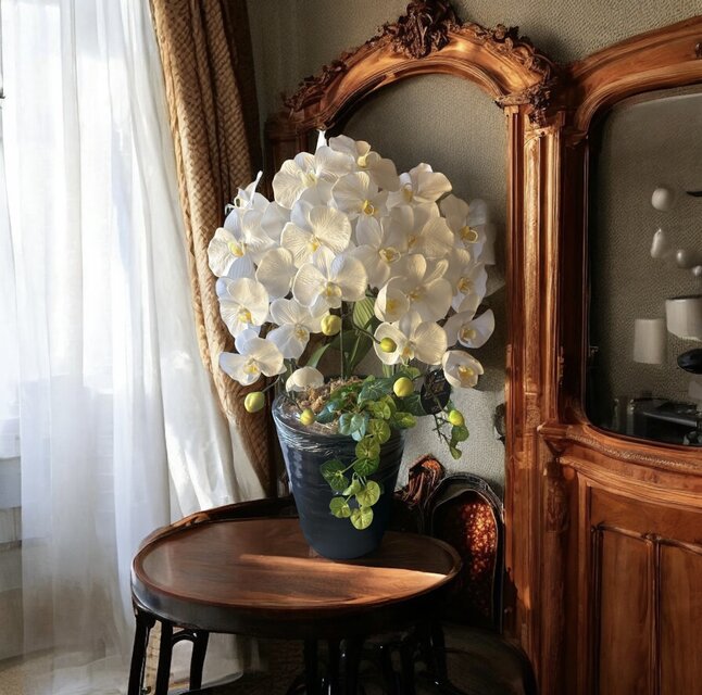 光触媒 人工観葉植物 ウォールグリーン フェイクグリーン 胡蝶蘭6136H