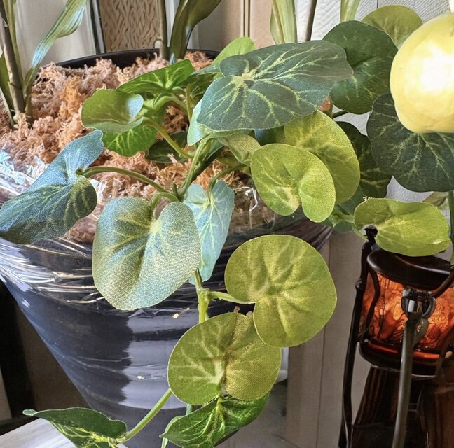 光触媒 人工観葉植物 ウォールグリーン フェイクグリーン 胡蝶蘭6136H