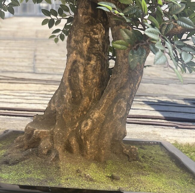 光触媒 人工観葉植物 ウォールグリーン フェイクグリーン 盆栽 けやき