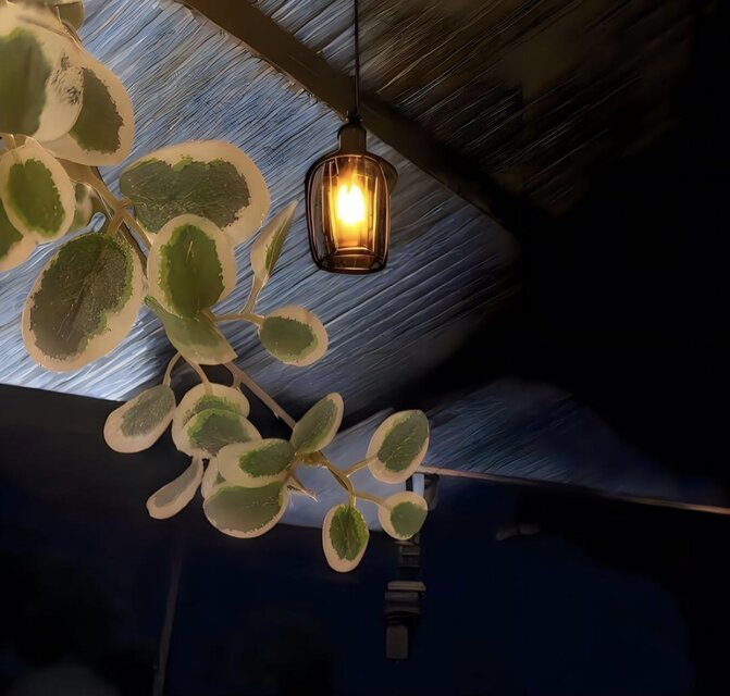 光触媒 人工観葉植物 ウォールグリーン フェイクグリーン 吊り下げ