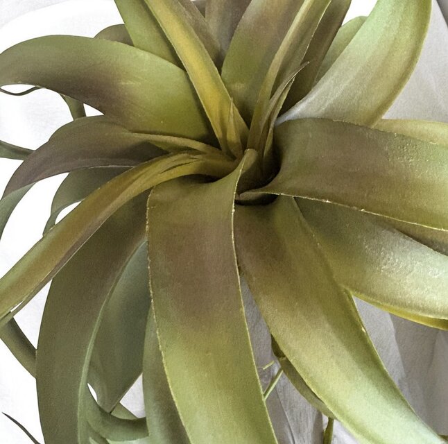 光触媒 人工観葉植物 ウォールグリーン フェイクグリーン 壁掛け