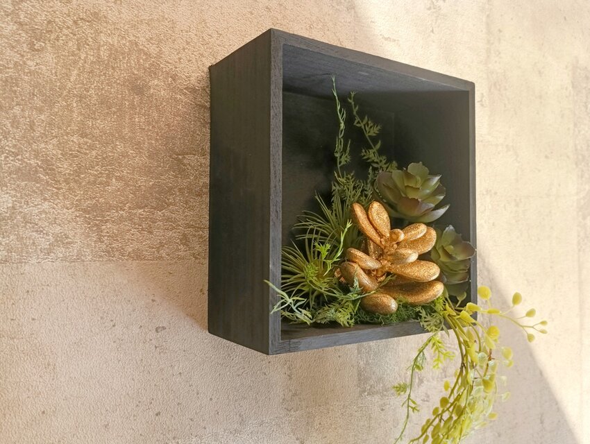 存在感あるゴールド（金）に輝く多肉植物 ウォールグリーンBOX 光触媒 