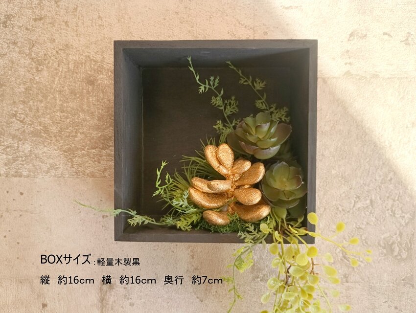 存在感あるゴールド（金）に輝く多肉植物 ウォールグリーンBOX 光触媒 