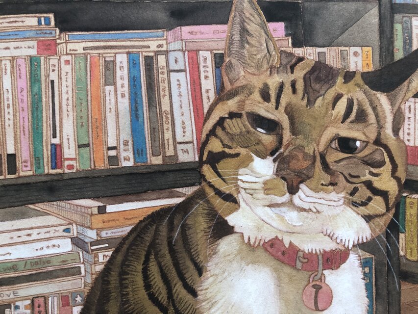 書斎の猫」額縁入り（複製画） | iichi 日々の暮らしを心地よくする