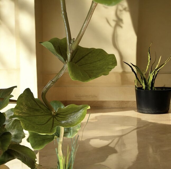 光触媒 人工観葉植物 ウォールグリーン フェイクグリーン シーグレープ