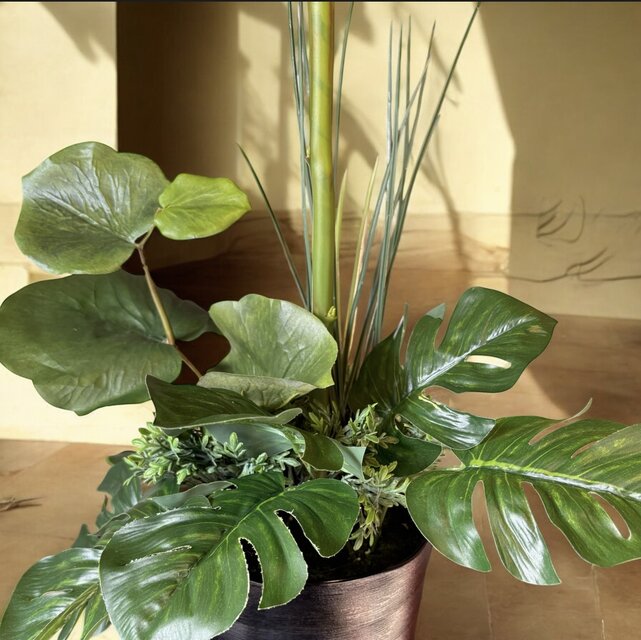 光触媒 人工観葉植物 ウォールグリーン フェイクグリーン シーグレープ