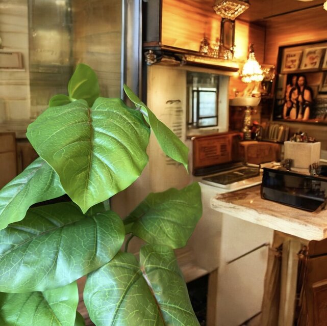 光触媒 人工観葉植物 ウォールグリーン フェイクグリーン ウンベラータ