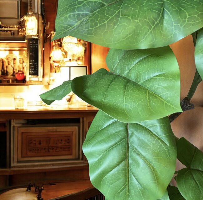 光触媒 人工観葉植物 ウォールグリーン フェイクグリーン ウンベラータ