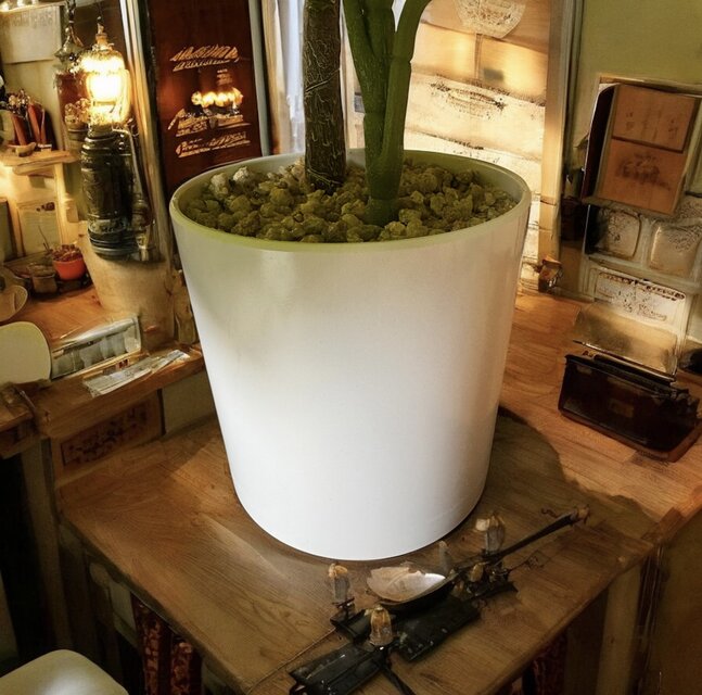 光触媒 人工観葉植物 ウォールグリーン フェイクグリーン ウンベラータ