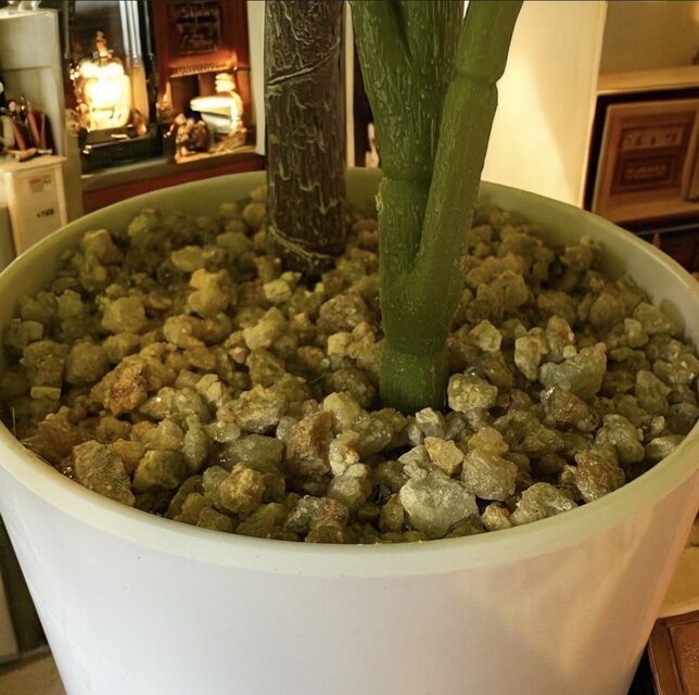 光触媒　人工観葉植物　ウォールグリーン　フェイクグリーン　ウンベラータ18080 光触媒 人工観葉植物 ウォールグリーン フェイクグリーン ウンベラータ