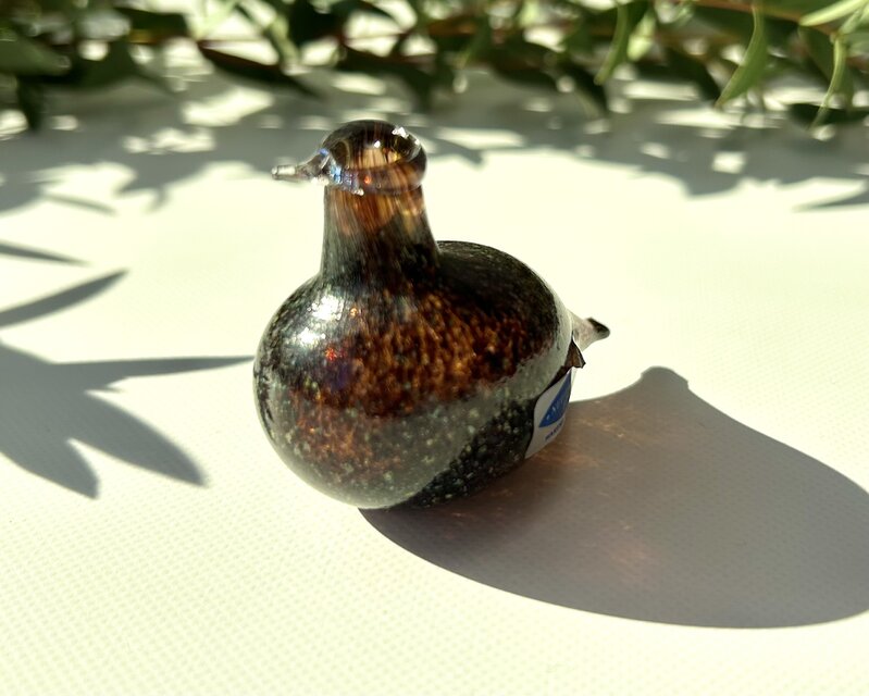 nuutajarvi＊GoldenCrestedKinglet＊オイバトイッカ nuutajarvi＊GoldenCrestedKinglet＊オイバトイッカ NUUTAJARVI