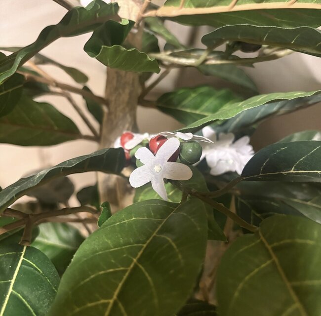 光触媒　人工観葉植物　ウォールグリーン　フェイクグリーン　コーヒーの木g@'t 光触媒 人工観葉植物 ウォールグリーン フェイクグリーン コーヒーの木