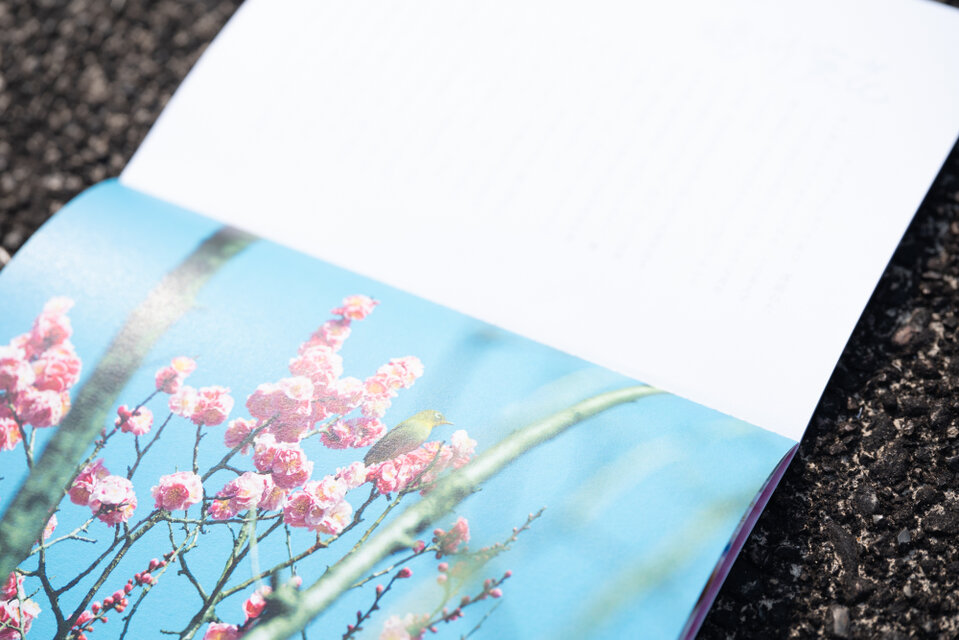 春の花をたっぷり載せたZINE「春を待つ」 | iichi 日々の暮らしを