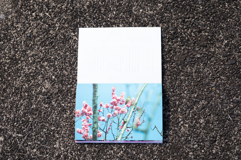 春の花をたっぷり載せたZINE「春を待つ」 | iichi 日々の暮らしを