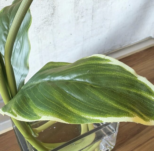 光触媒 人工観葉植物 ウォールグリーン フェイクグリーン マジカル