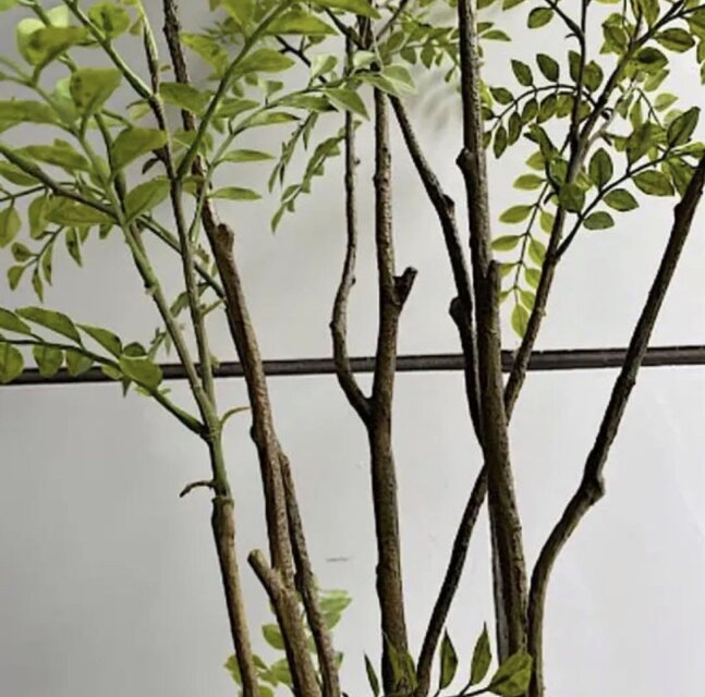 光触媒 人工観葉植物 ウォールグリーン フェイクグリーン シマトネリコ