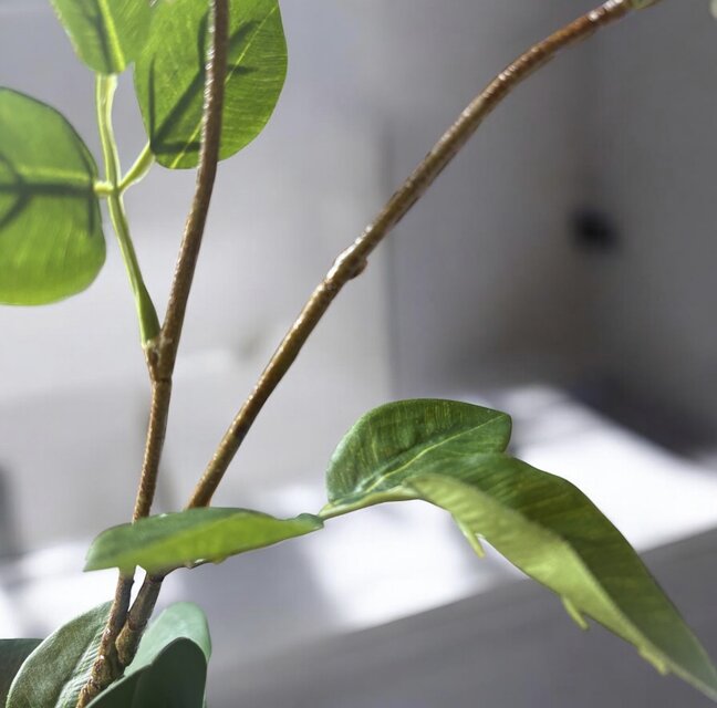 光触媒 人工観葉植物 ウォールグリーン フェイクグリーン マジカル