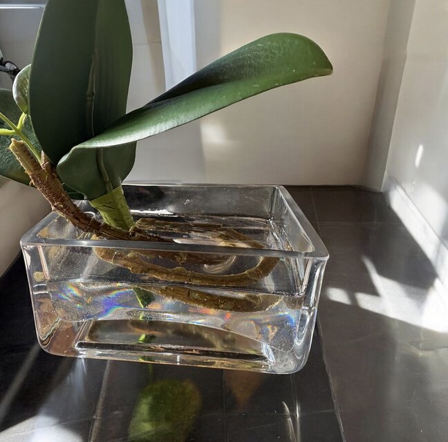 光触媒　人工観葉植物　ウォールグリーン　フェイクグリーン　マジカルウォーター63 光触媒 人工観葉植物 ウォールグリーン フェイクグリーン マジカル