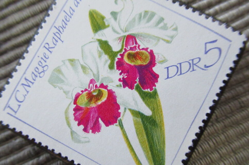 ドイツ1968年 花切手ブローチ10771 | iichi 日々の暮らしを心地よく