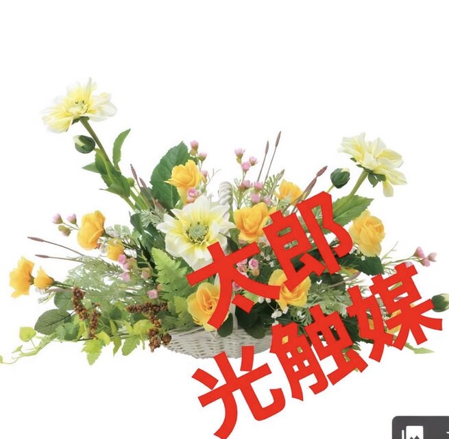 光触媒　人工観葉植物　ウォールグリーン　フェイクグリーン　ソリドール 光触媒 人工観葉植物 ウォールグリーン フェイクグリーン ソリドール