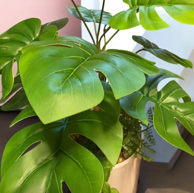 光触媒 人工観葉植物 ウォールグリーン フェイクグリーン モンステラ