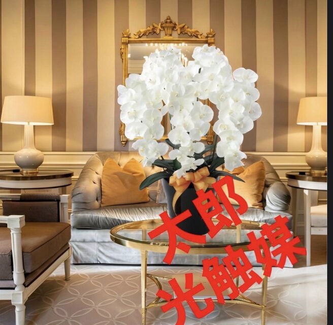 光触媒 人工観葉植物 フェイクグリーン プレミアム胡蝶蘭5本立W