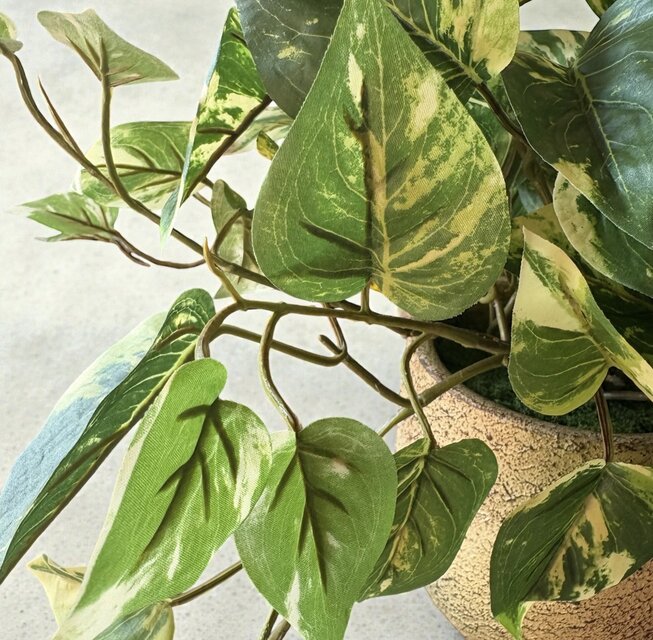 光触媒 人工観葉植物 ウォールグリーン フェイクグリーン ポトス