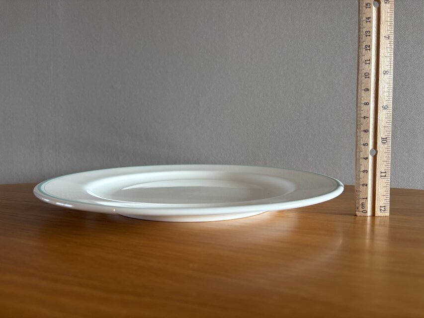 国産の古い大きめのディナープレート Noritake 【2枚セット】 | iichi