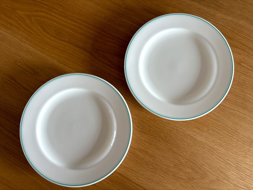 国産の古い大きめのディナープレート Noritake 【2枚セット】 | iichi