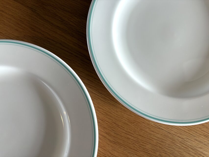 国産の古い大きめのディナープレート Noritake 【2枚セット】 | iichi