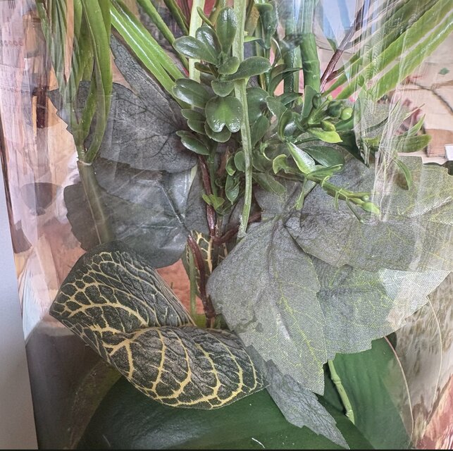 光触媒 人工観葉植物 ウォールグリーン フェイクグリーン マジカル